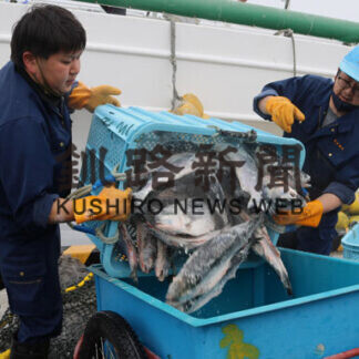 水揚げ過去最高88.2㌧　花咲港に帰港　ロシア200㌋曳き網試験操業(2021-07-09)