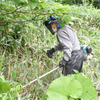 草刈りでクマ出没防ぐ、２町内会で作業(2021-07-13)