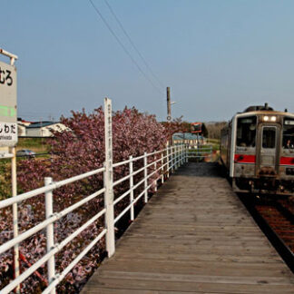 記念マーク付き車両運行　５日から花咲線全通１００周年イベント_1(2021-07-27)