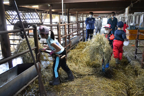 牛の世話「慣れたら楽しい!」厚岸太田小児童が酪農体験(2021-07-22)