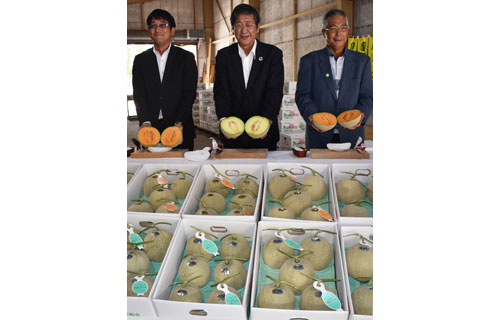 摩周メロン初出荷 生産組合「出来上々」(2021-07-27)