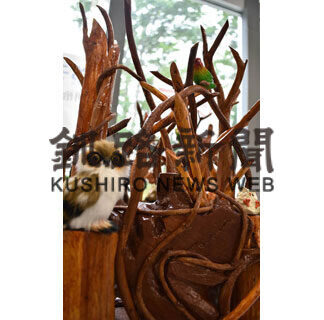 庭木や流木再利用、個性ある木工細工に(2021-07-11)