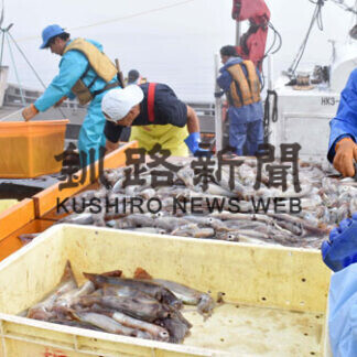 根室港　真イカ３年ぶり豊漁で浜活気(2021-07-29)