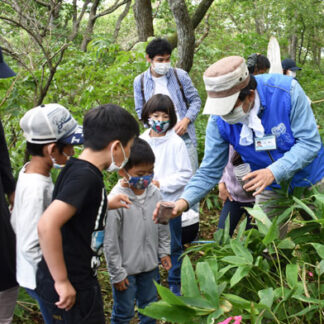 親子で昆虫採集、春採湖の自然観察　釧路市立博物館(2021-08-19)