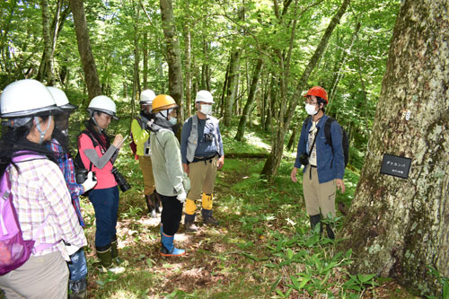 森林の生態系学ぶ 京大研究林で自然観察会(2021-08-10)
