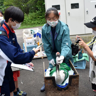 タンチョウの治療学ぶ　釧路市動物園で小中生体験イベント(2021-08-09)