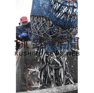 サンマ待望の初水揚げ　花咲港と厚岸　最高値１㌔３万２４０円(2021-08-20)