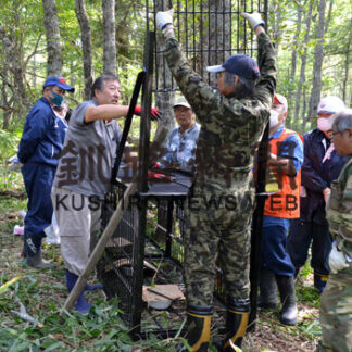 クマ捕獲用箱わな設置　乳牛への襲撃多発で(2021-09-17)