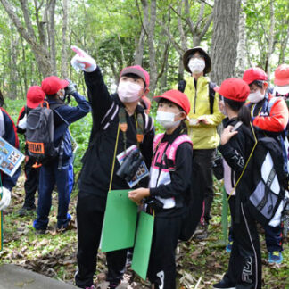 浜中小児童ら、ミズナラの実なり調査(2021-09-04)