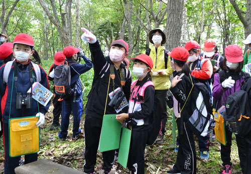 浜中小児童ら、ミズナラの実なり調査(2021-09-04)