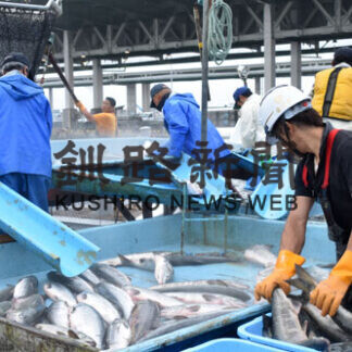 秋サケ来遊、最低１６１万匹　水試予想(2021-09-02)