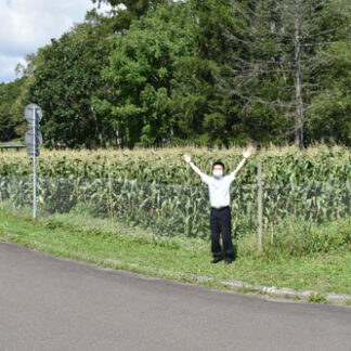 トウモロコシ収穫園期　１８日「もぎ取り体験」　山花温泉リフレ(2021-09-07)