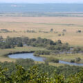 涼しいくしろを象徴する釧路湿原