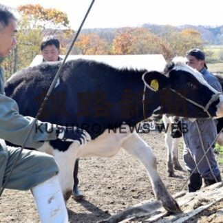夏季の放牧、育成順調に　音別の牧場から乳牛退牧(2021-10-30)