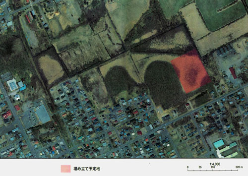 希少な「ムセンスゲ」湿原に自生判明 会設立 保存へ活動開始_1(2021-10-22)