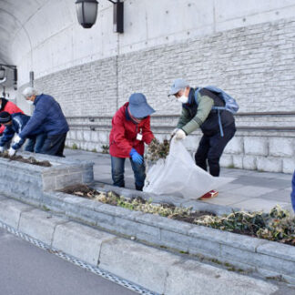 富士見坂の花壇、キンレンカの会が草や根の後始末(2021-11-29)
