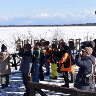 来年根室でバードフェス 貸切タクシーで観察(2021-11-17)