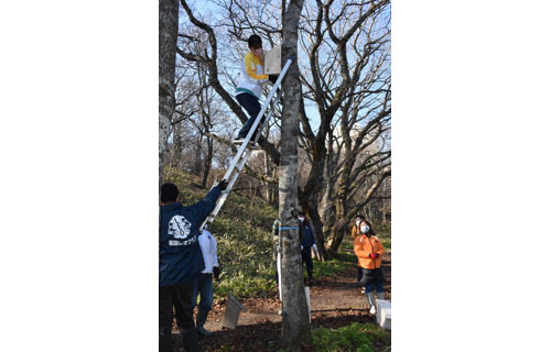 春採湖の環境豊かに ぬさまいライオンズクが巣箱設置(2021-11-24)