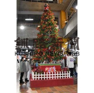 ＭＯＯにジャンボツリー、一足早くＸマス気分(2021-11-22)