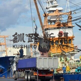 マイワシ３年連続２０万超　釧路港に６割水揚げ(2021-11-05)