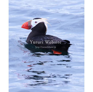 ユルリ・ウエブサイト公開(2021-11-27)