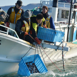 昆布森漁協が稚ウニ放流(2021-11-27)