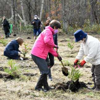 町と農協、漁協が川守る植樹(2021-11-10)