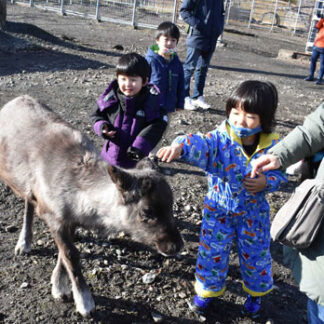 釧路市動物園で恒例イベント「クリスマスＺＯＯ」(2021-12-14)