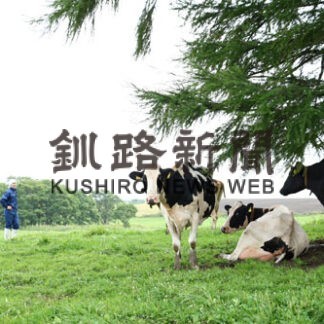 有機飼料認証された８７㌶の草地に放牧される乳牛たち