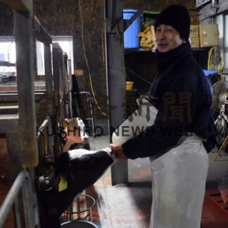 健康で長生きする牛の飼養を最重要視し牛舎内で子牛にミルクを与える矢口さん