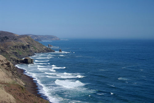 森林や湿原とともに沿岸域の藻場はブルーカーボン資源として注目が高まる