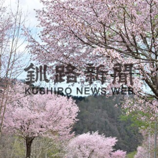 音別の景勝地を選定した音別新八景の一つ、上音別桜並木街道