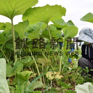 【元旦号3B】歩み続ける合併の2町_3(2022-01-01)