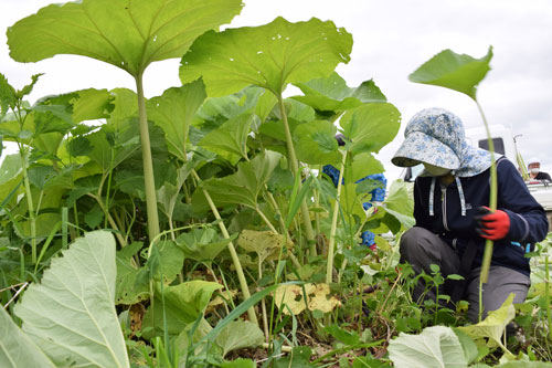 【元旦号3B】歩み続ける合併の2町_3(2022-01-01)