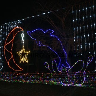 阿寒町商工会青年部が「まちなかライトアップ」(2021-12-21)