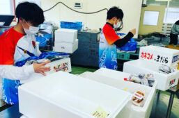 水産物の箱詰め作業