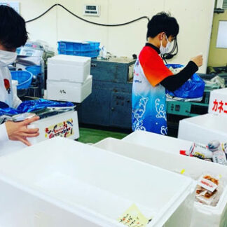 水産物の箱詰め作業