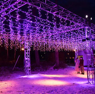 イルミ幻想の光　音楽と一体「天園の森」(2021-12-20)