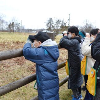 タンチョウ分布調査、鶴居では児童も参加(2021-12-04)