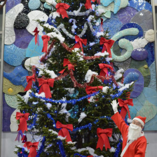 Ｘマスイルミ華やか_1(2021-12-04)