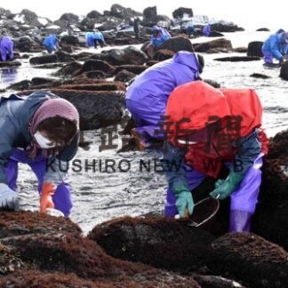 アサリ手掘り、フノリ漁解禁　厳冬期の風物詩、漁場活気_1(2022-01-26)