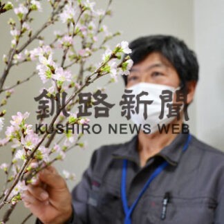 厚岸に春の便り啓翁桜　村山市から友好の証し(2022-01-19)