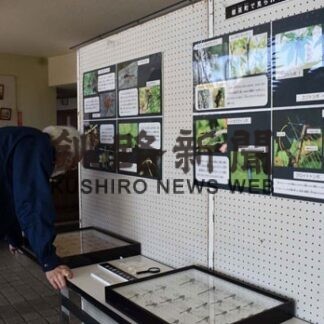 標茶町博物館で「身近なトンボ展」(2022-01-27)