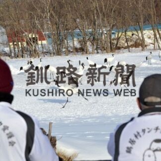 タンチョウ鶴居で２５８羽　越冬調査(2022-01-26)