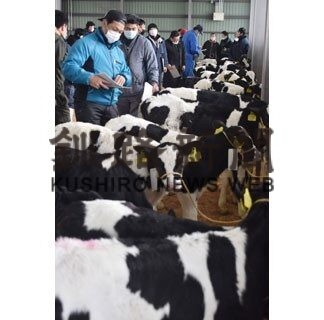 ホクレン根室市場初競り　牛の取引高４割減(2022-01-06)