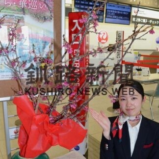 ひと足早い春感じて　釧路空港に琉球寒緋桜(2022-01-26)