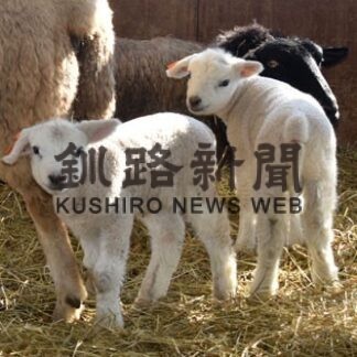 【未編集】Ｈ・白糠町　羊出産 【ルビあり （ぶん）（べん） 】(2022-02-11)
