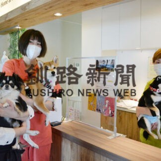 ペコミがウクライナのペット救援募金(2022-04-01)