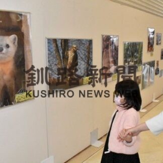 道内の人気動物 写真で　イオンモール釧路昭和で展示(2022-03-17)