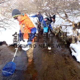タンチョウ採食地調査　保護活動の現状理解　首都圏大学生(2022-03-11)
